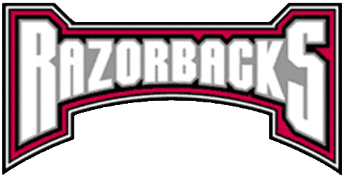 Arkansas Razorbacks 2001-2008 Wordmark Logo v5 diy iron on heat transfer